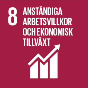 Sustainable Development Goals 8